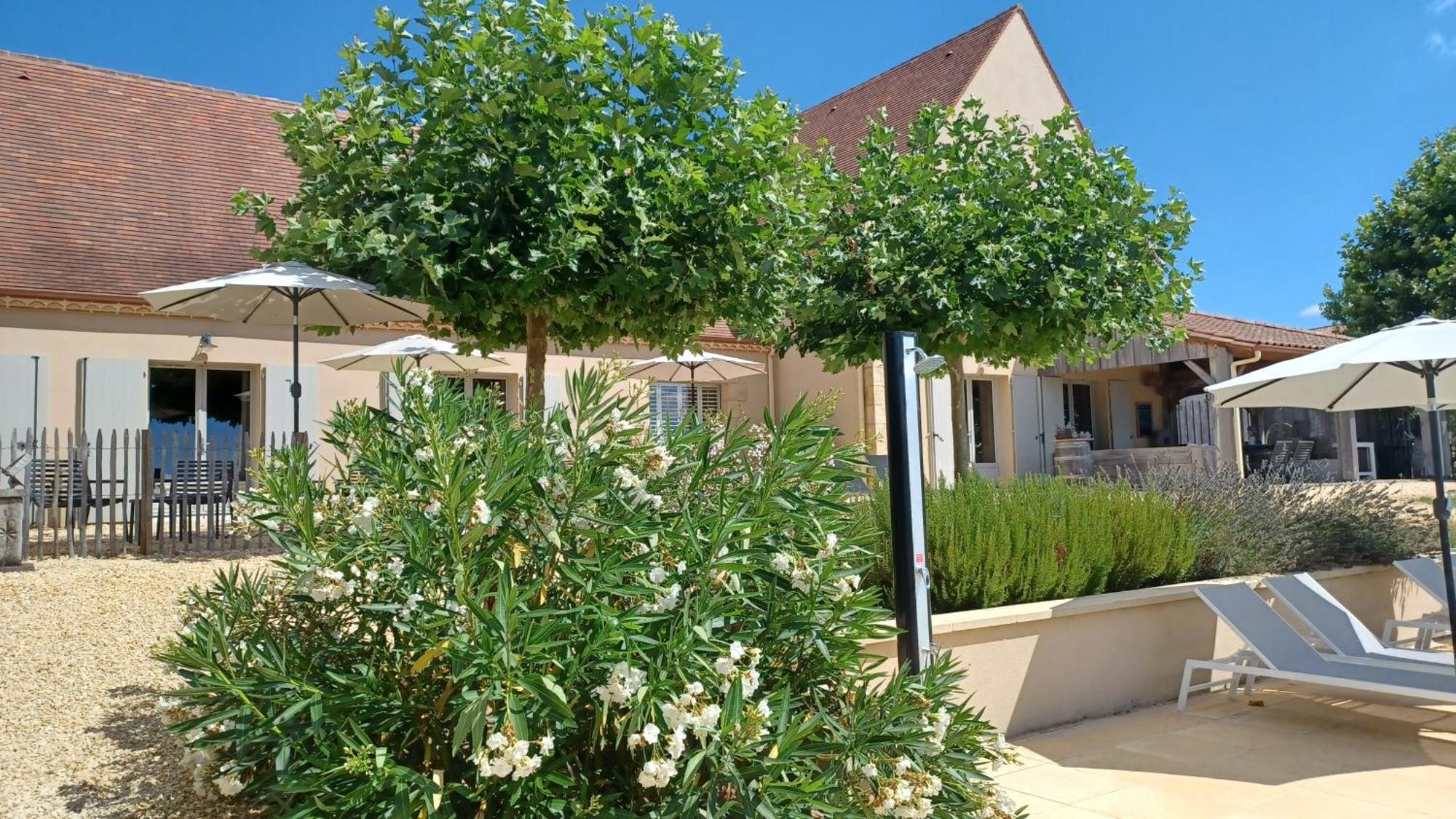 La Douce Dordogne Bed & Breakfast Coux-et-Bigaroque-Mouzens Ngoại thất bức ảnh
